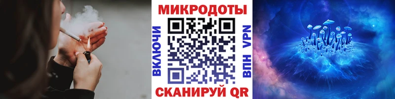 закладка  Сегежа  mega как зайти  Псилоцибиновые грибы MAGIC MUSHROOMS 