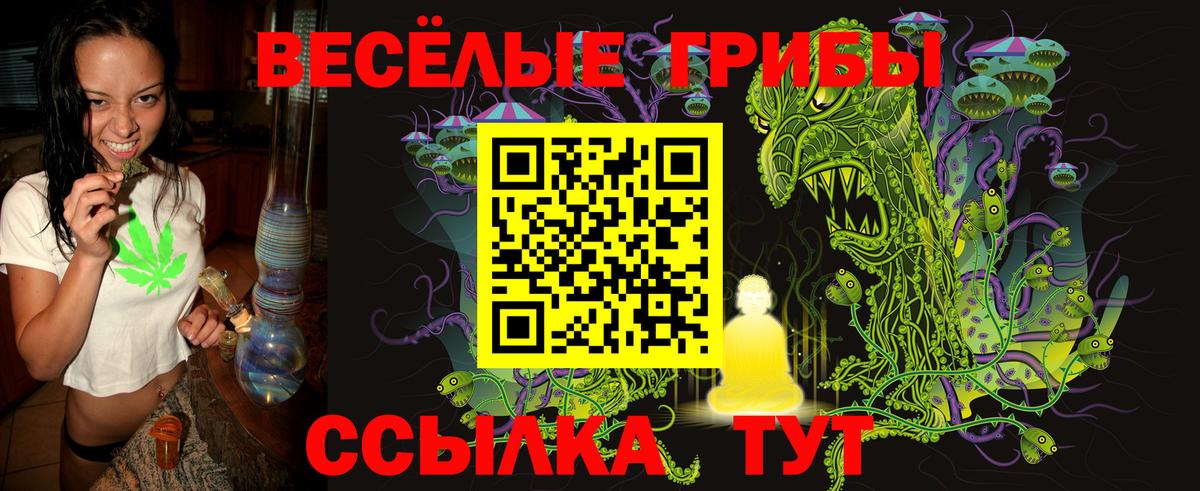 Сегежа  Галлюциногенные грибы прущие грибы  наркота  Вход с VPN 