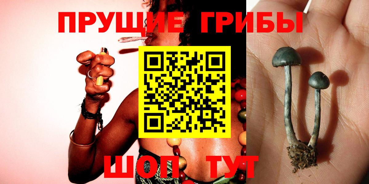 Псилоцибиновые грибы GOLDEN TEACHER Сегежа